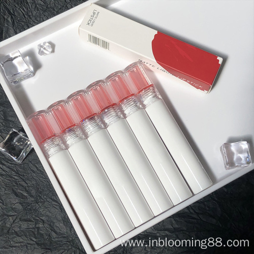 Wholesale Waterproof Nude Matte Lip Gloss Private Label